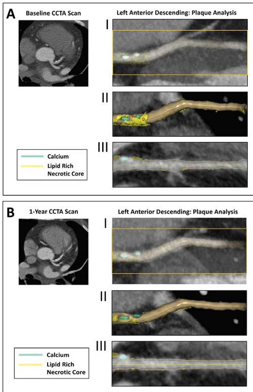 CircImaging tweet media