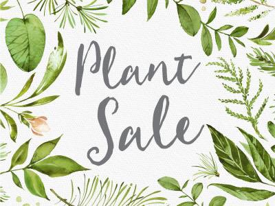 DulwichGarden's tweet photo. Plant sale this Sunday 20th September 2-4pm at 103 &amp; 105 Dulwich Village, in aid of St Christopher’s Hospice.  
Please bring your own masks and bags. Credit card sales only.  Everything £5 !!! https://t.co/x4JvG5BLCQ