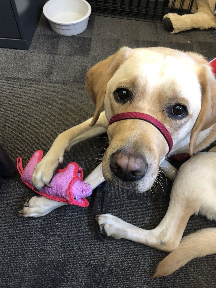 Thank you <a href="/MarybethGallant/">Marybeth Gallant</a> for my new toy!! You spoil me!!