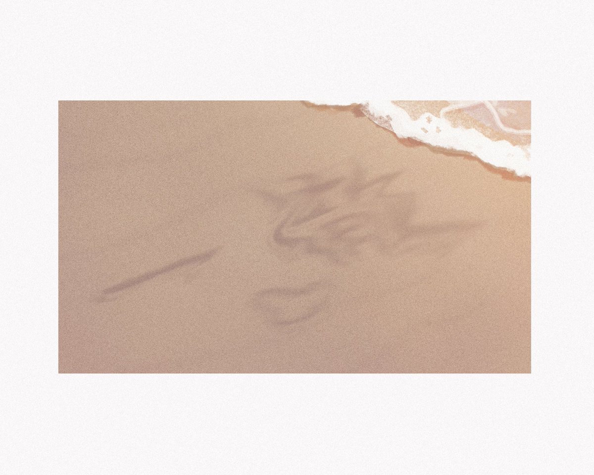 tnkisu's tweet photo. thank you for all these years 🥺💕
#iwaoi #haikyuu https://t.co/lbCW44kmSO