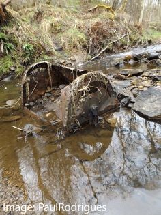 3/19 Once prolific, few inclines remain today. An exception is  @bowes_railway, a magnificent survivor of a once pivotal & integrated transport network across the Durham coalfield. Archaeological fragments still exist for connecting ropeways in Weardale & Derwentside  #BIAG20