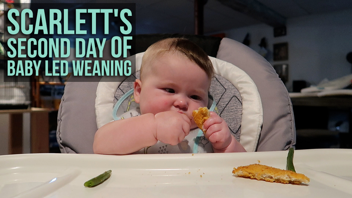 baby led weaning day 1