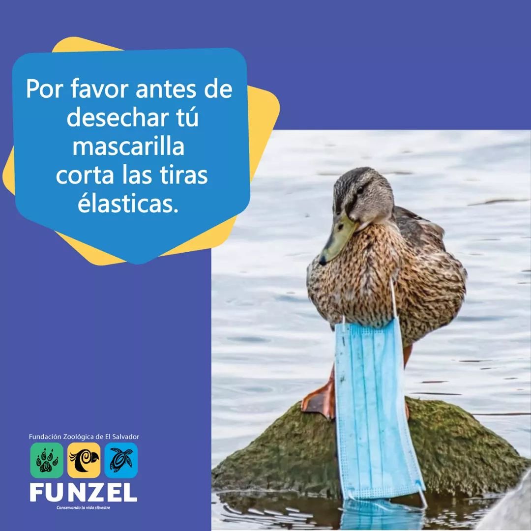 INFOCOVID1912's tweet photo. Seamos responsables al desechar mascarillas. https://t.co/ViKDqNF2cg