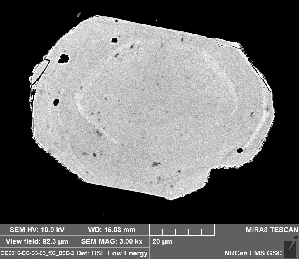 mc_north's tweet photo. An unexpected result from dredging at the #AlphaRidge: detrital zircons preserved in fine sediment that infilled a piece of wood that is now fossilized. Collaborative research by @GSC_CGC @MuseumofNature @MUN_EarthSci @UBCeoas. Abstract: https://t.co/2nSmKk7dUs #GeoConvention2020 https://t.co/7gYqjRhOPP