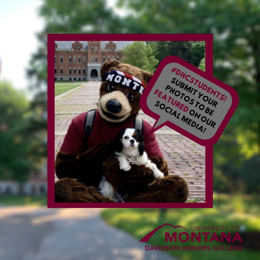 Davidson Honors College tweet media