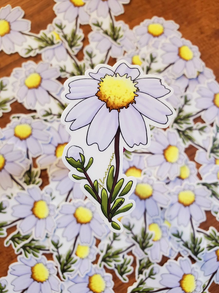 asteraceae tweet picture