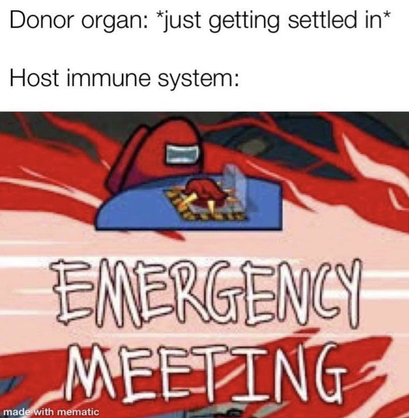PNguyenPharmD's tweet photo. A rare glimpse into what my life is like nowadays https://t.co/LwGAs2bD3b