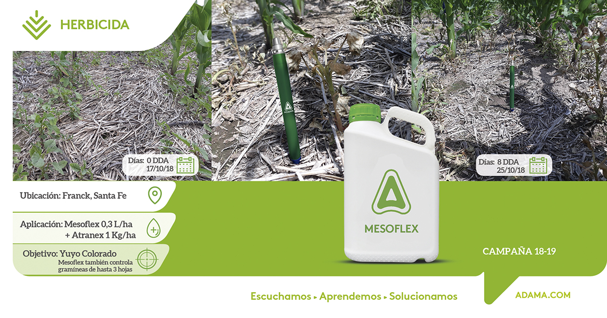 AdamaArgentina's tweet photo. ¡Lo vemos en acción! #Mesoflex es el modo de cuidar tu inversión. Conocé más aquí 🔗 https://t.co/iqQLS6kVEC https://t.co/NkhFcSoKik
