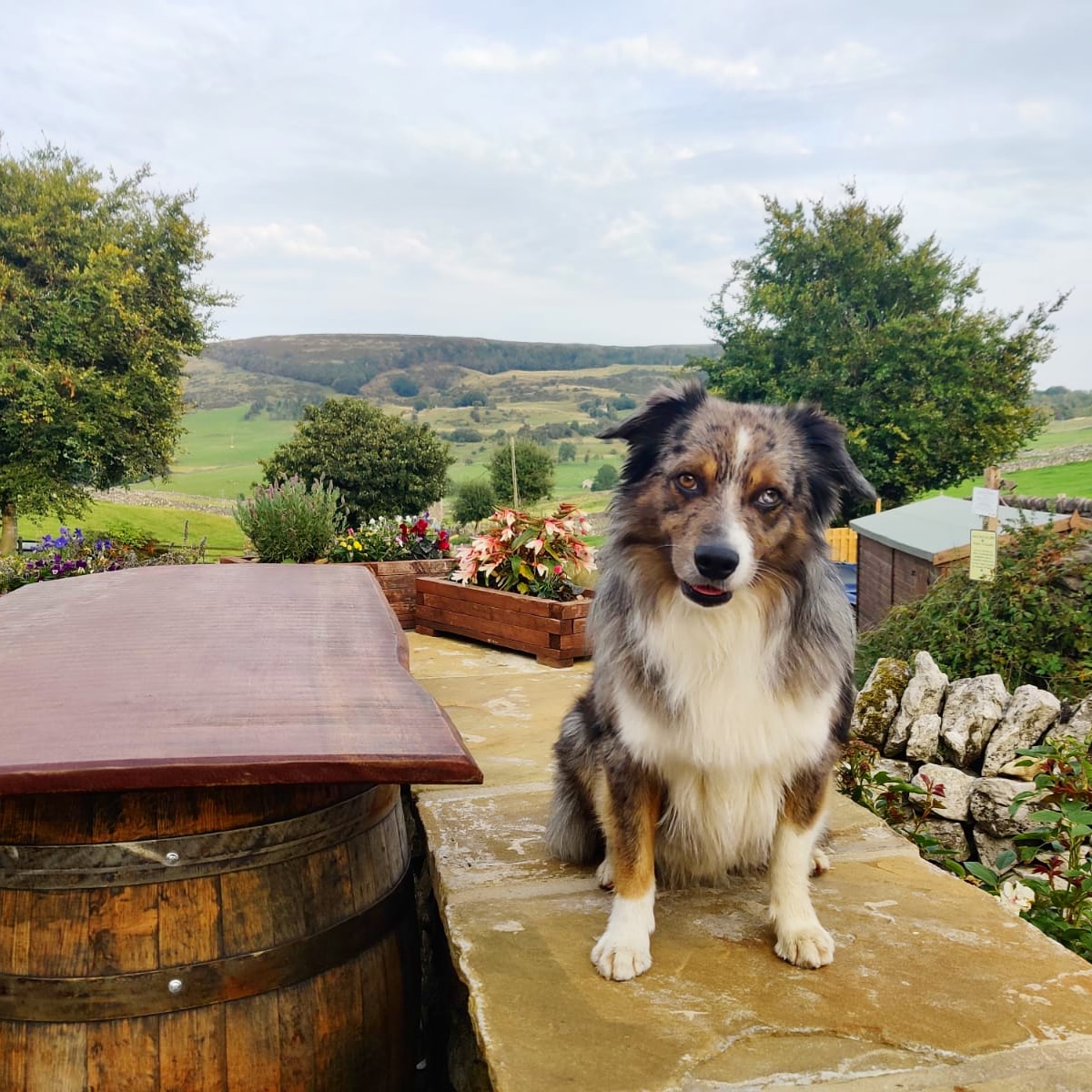 The weather forecast is looking good this weekend! Why not book a table in our large beer garden and enjoy the sunshine? #pubdog #peakdistrictpub #historicpub #gastropub #beergarden #peakdistrict #derbyshire #discoverderbyshire #pub