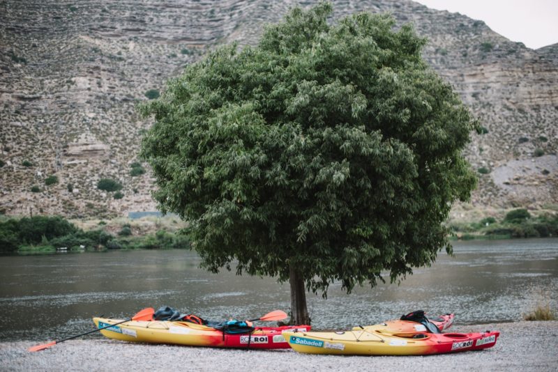 Proponemos 10 acciones para avanzar hacia una relación más equilibrada y sostenible con el río en concreto y con la #naturaleza en general
bit.ly/2RvNfyh