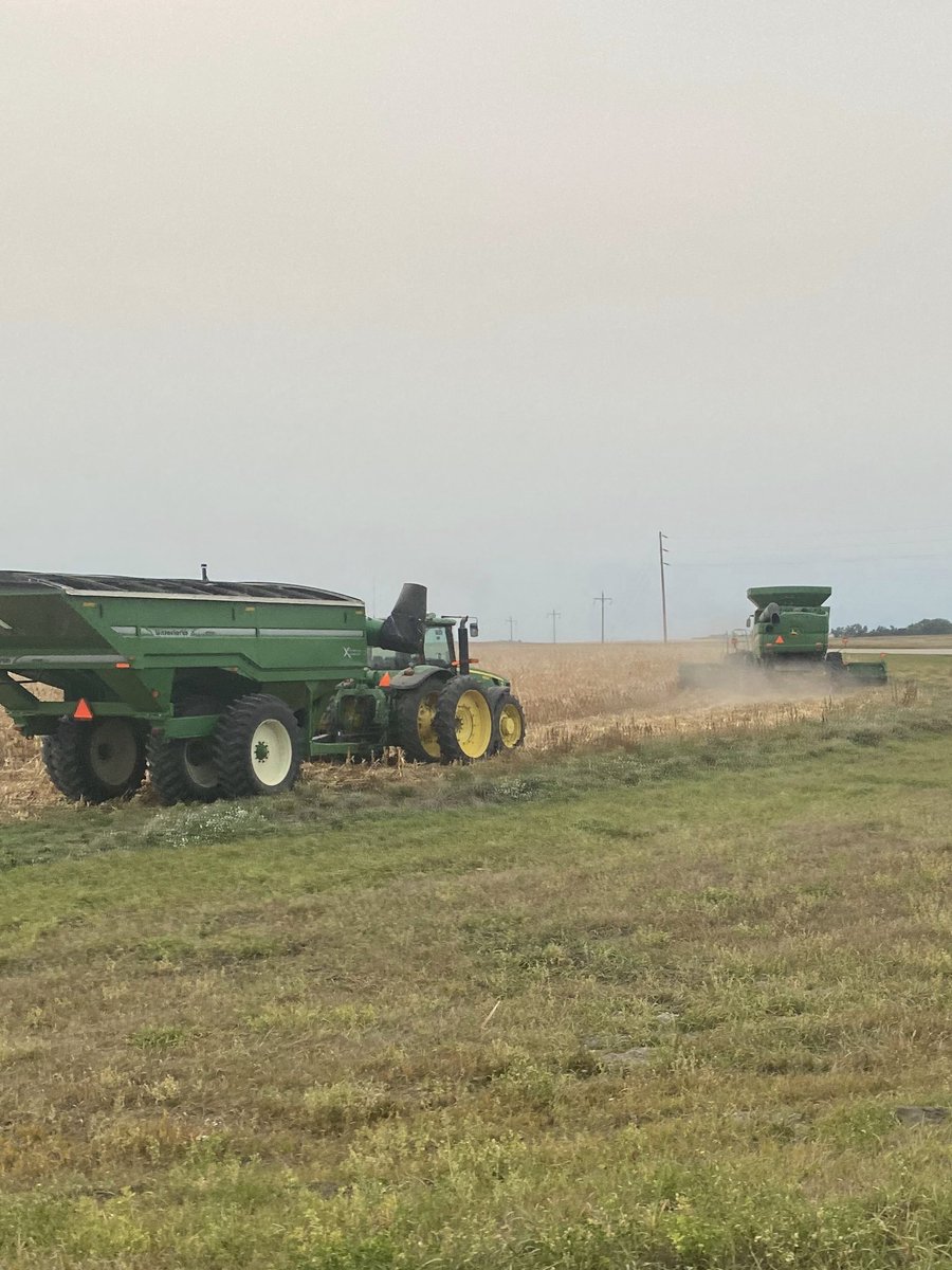 jonnyanderson30's tweet photo. Update for those calling this sweet corn....17% Moisture 57lbs. Aneta, ND @BrevantseedsUS https://t.co/uAotsIjdwC
