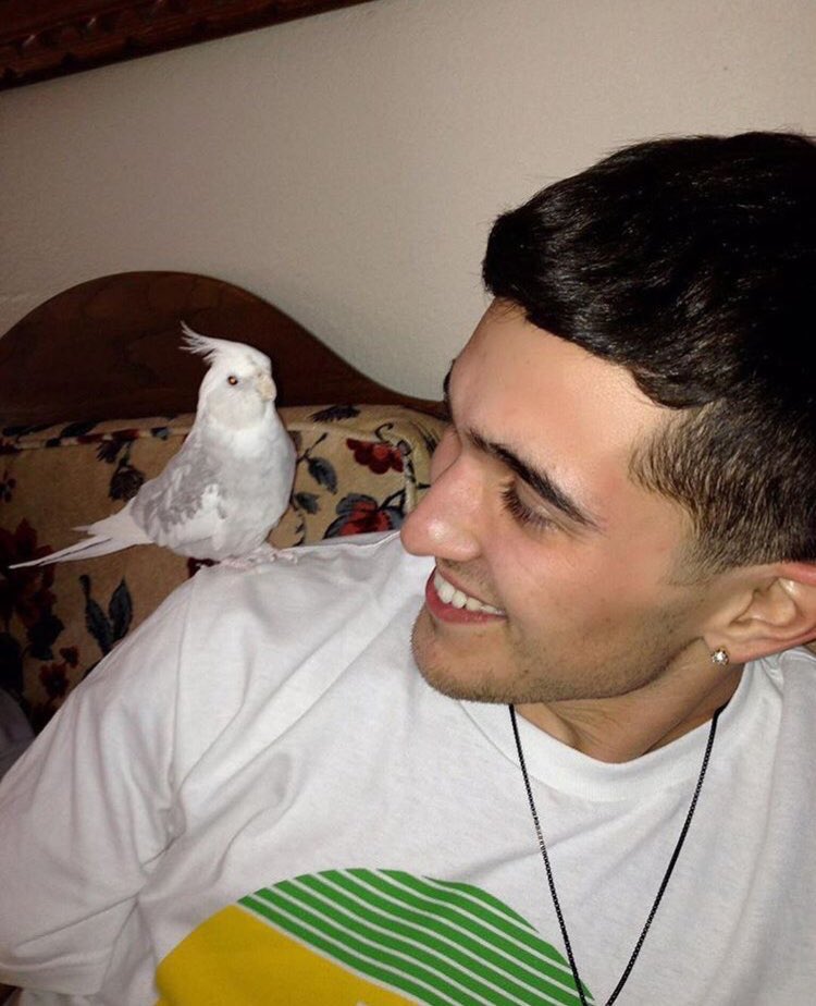 Nickvella3's tweet photo. It’s been 5 years since you left us. And we constantly still think about you. Until we meet again. #RIPLL https://t.co/OOsfb0P90I