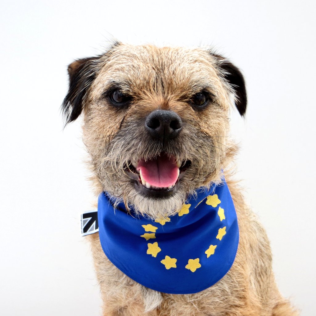 misheleneous's tweet photo. Check out this item in my Etsy shop https://t.co/5rGVbRzDph
So i'll just leave this here......🇪🇺
'Suits #eu Sir' - or Madam! 🐶
#dogsagainstbrexit #doglovers #BrexitShambles #etsy #europe #EuropeanUnion #Brexit https://t.co/feKwmbbR8f
