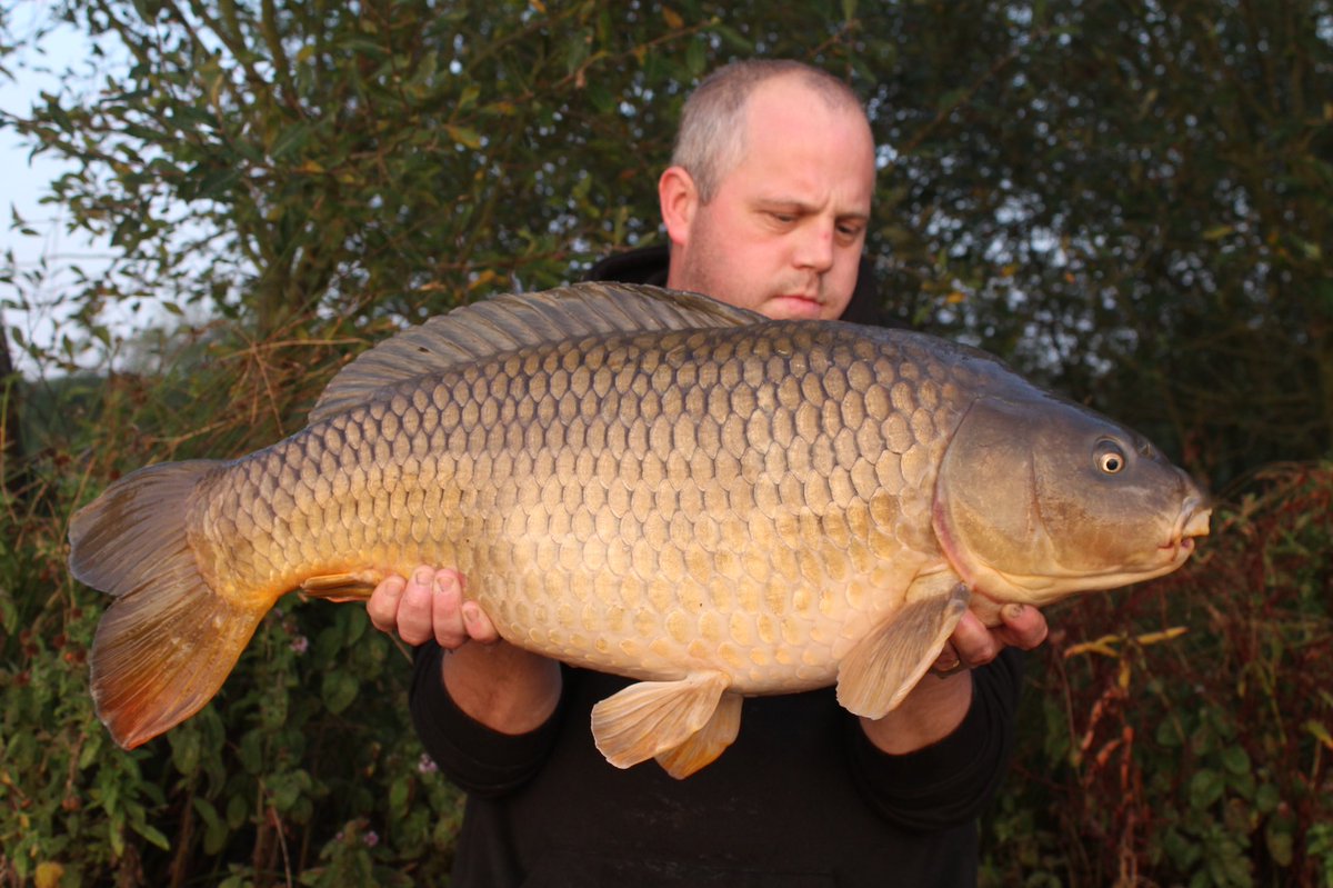 craigowhu87's tweet photo. After 11 hard nights on one of me club water Iv finally got into a few biggys๐๐ฃ this one coming in at 24.7 #corebaits #nohypejustbait #cb4 #coreevo https://t.co/zaejSNul9W