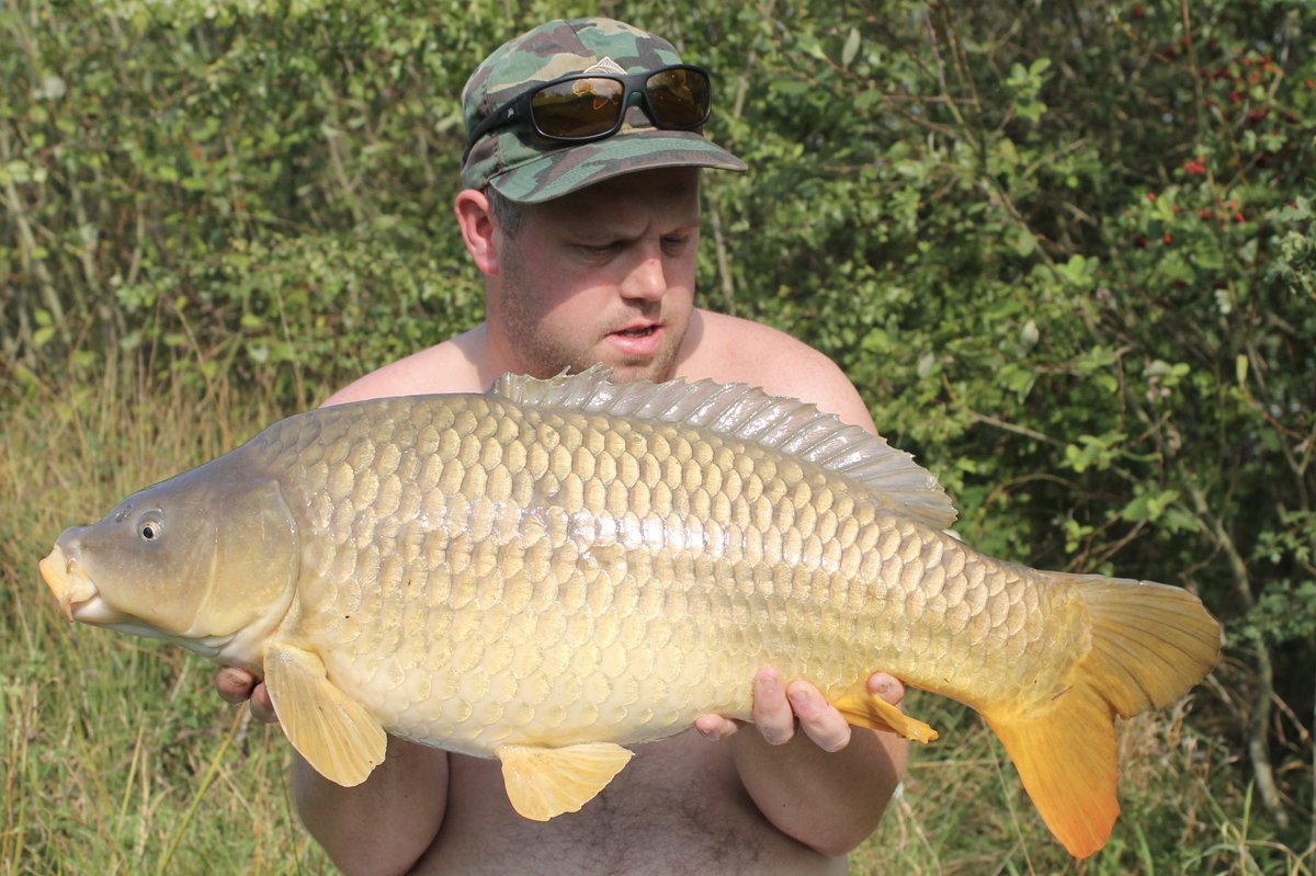craigowhu87's tweet photo. #corebaits #nohypejustbait #cb4 #coreevo https://t.co/ekO6X1Qx1w