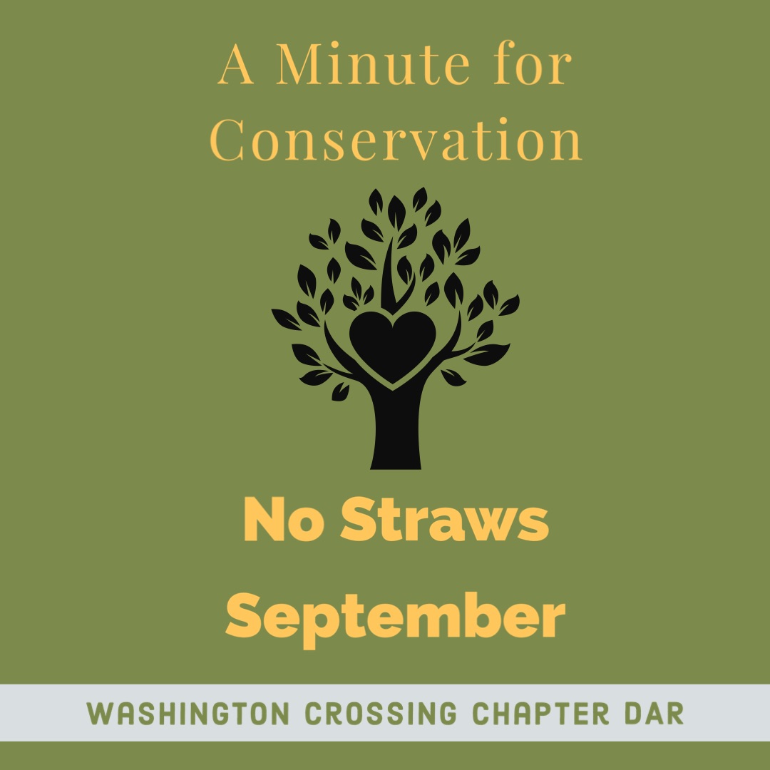 WashXingDAR's tweet photo. Say “No, thank you“ to straws this month! Straws are wreaking havoc on our environment, with Americans using 500 million plastic straws per day! Every effort makes a difference, so skip the straws in September. https://t.co/bGHFo0K8pP