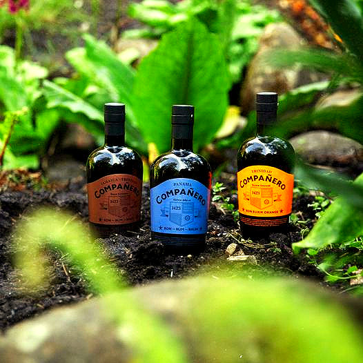 SkylarkSpirits's tweet photo. Fancy a taste of Caribbean beaches, endless summer nights and awaiting adventures? 🌴🥃 Then Ron Compañero is the rum for you!

#rumtogether #beach #trio #trinidad #jamaica #panama https://t.co/CAnDJbGqnR