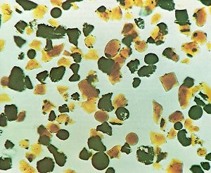 So if Mg-suite melts are direct products of melting during overturn, why is there not more olivine-rich mantle exposed during basin forming impacts (Melosh et al., 2017)? Well, what if these melts were extracted from the interior akin to lunar picritic glass magmas? 