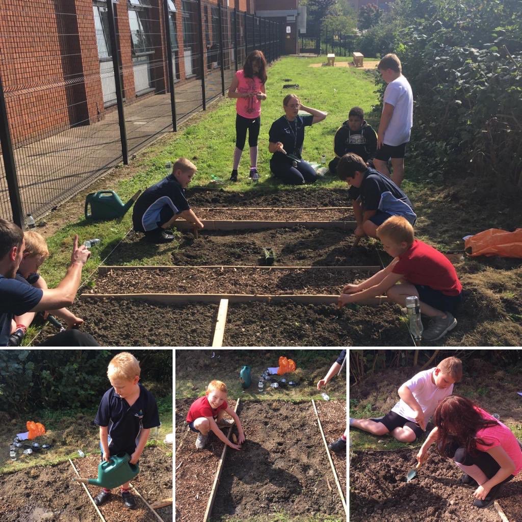 TSLA Primary tweet media