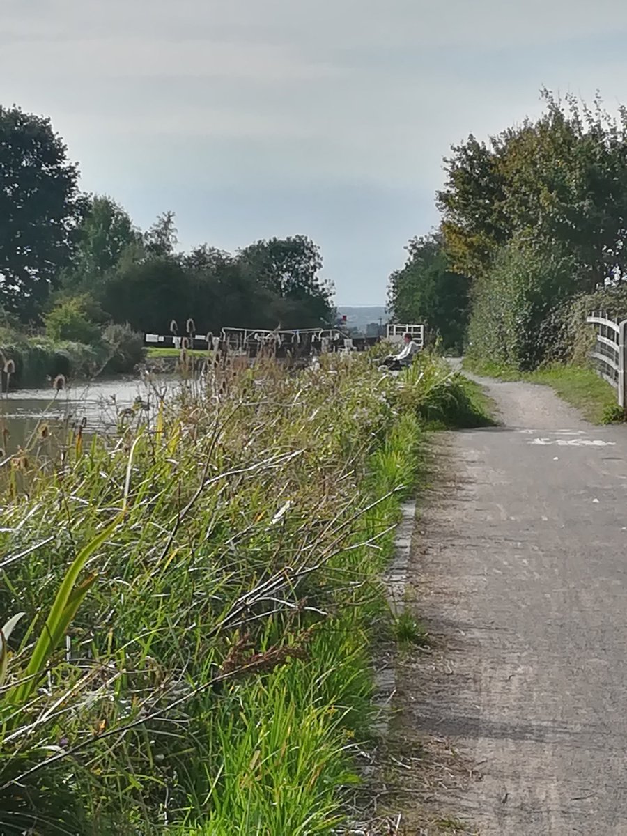ANGLINGLADY's tweet photo. Can't say I wasn't a bit disappointed when I turned up to my new fave canal spot to find a man on a fold out chair fishing a waggler on a 5m whip!....... 🤷♀️.. Haha no fish for me today!... #fishing #angling #kennetandavon #canal #canalfishing #lure #fishlure #lurefishing https://t.co/q4joqMSpJ3