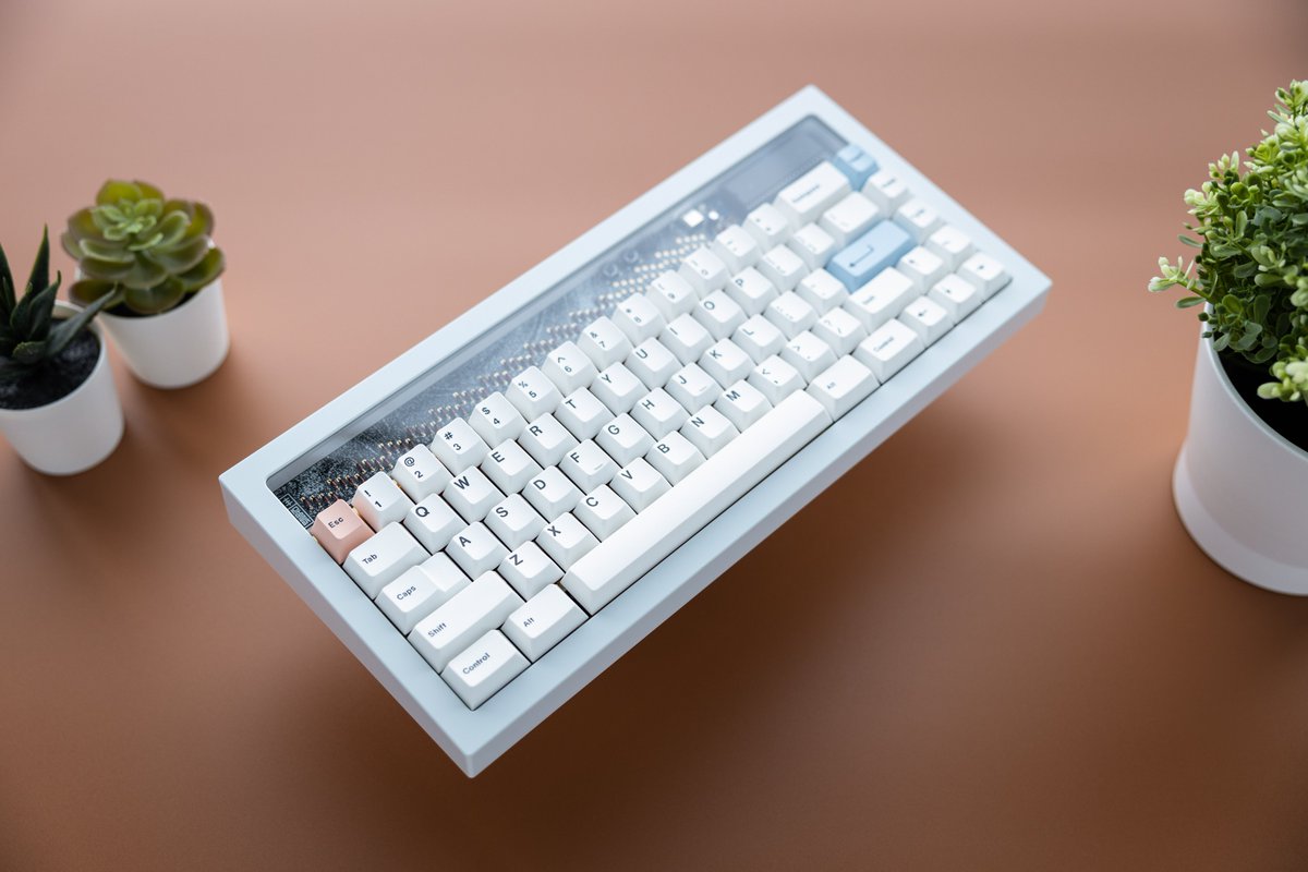 taehatypes's tweet photo. How do you guys feel about the exposed internal aesthetic on custom keyboards? https://t.co/y2LDcOy0a4