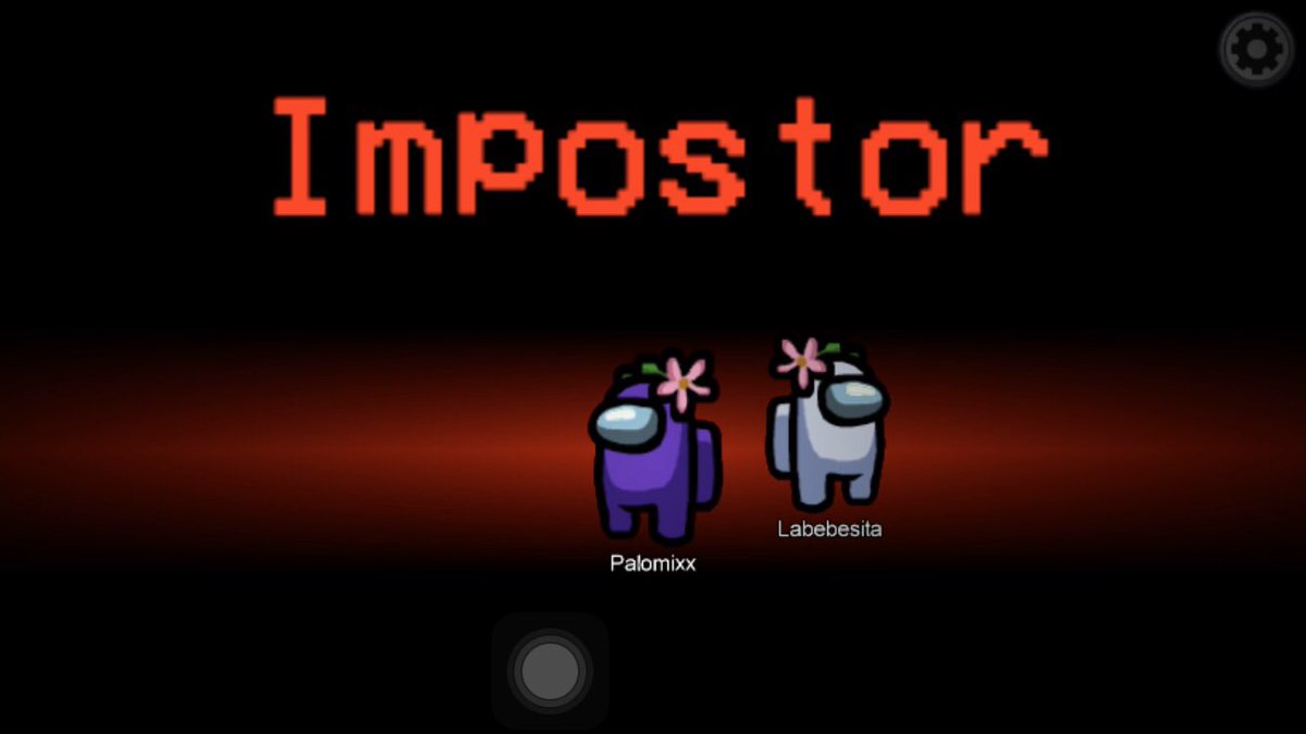 palomamarquees1 tweet picture