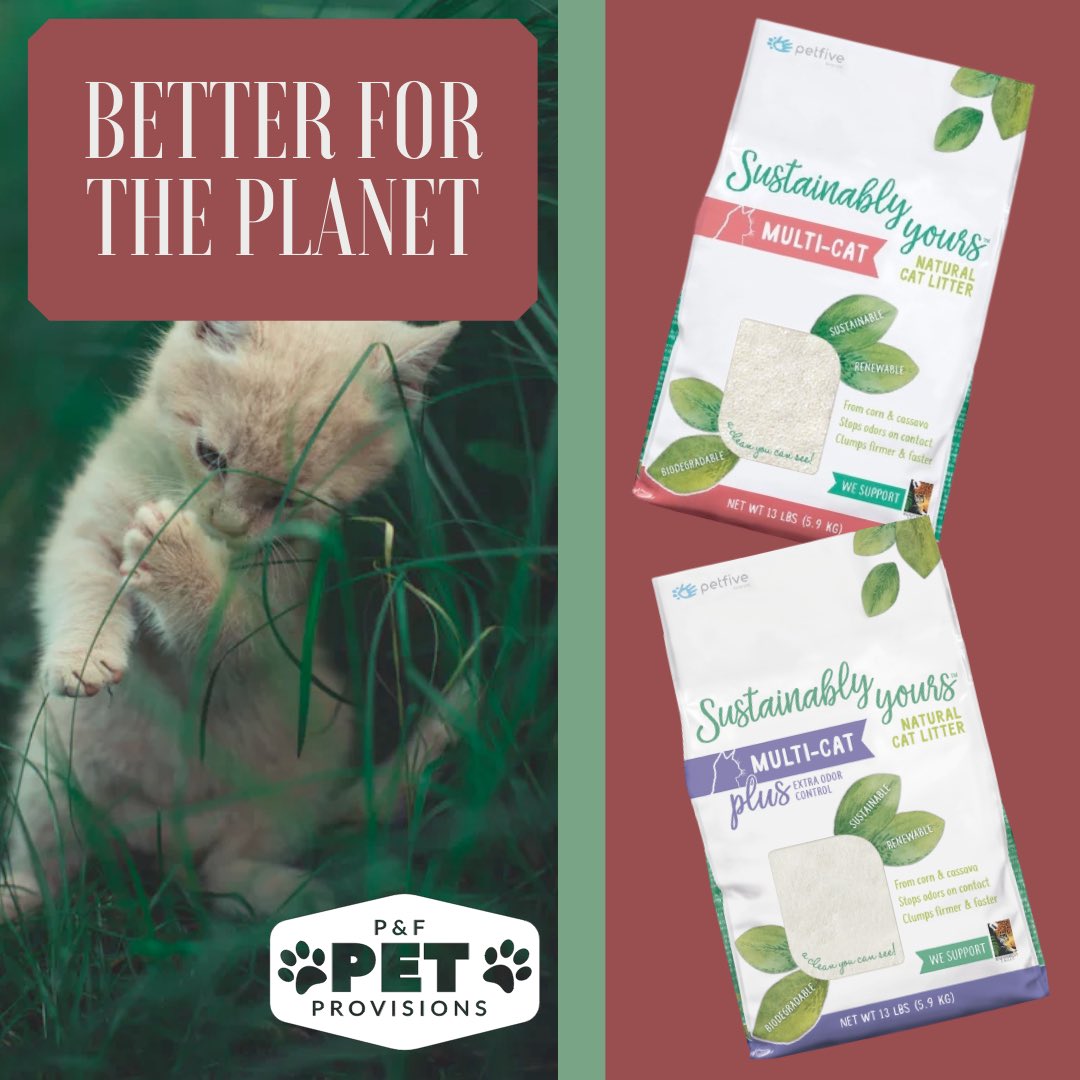 #catsofatx #atx #sustainable #sustainabilitymatters