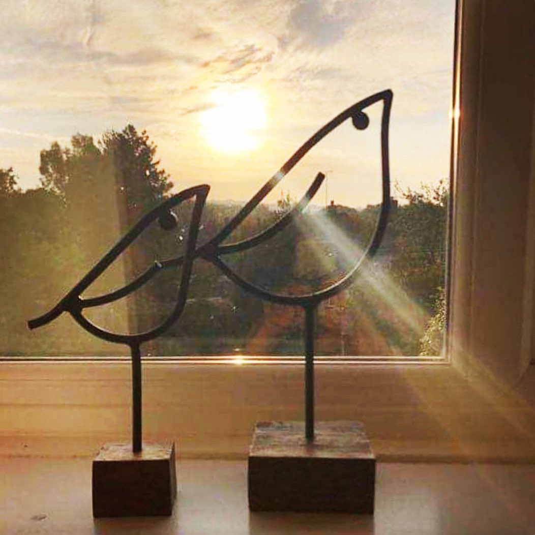 This surprise birthday gift of two Hausbirds was opened early enough to catch the first of the morning sunshine ☀️ 🙏🏻🙌🏻. So chuffed the thrilled recipient sent me this pic!! 😍😍
#hausbirds #hausbird #handmadesculpture #birdsculpture #tuesday #morning #dawn #sunrise #perfectgift