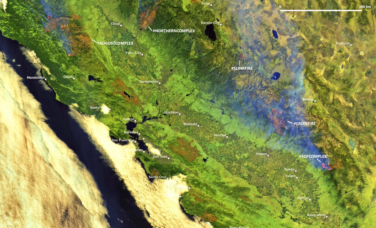 tonyveco's tweet photo. #CaliforniaFires update:@CopernicusEU #Sentinel3 SWIR view of Sep.14 shows burn scars & active fires of the largest #wildfires on stage.#California #AugustComplex #CreekFire #NorthernComplex #SQFComplex #ClimateChange #ClimateAction @CEDRdigital @ai6yrham @KathrynProciv @ESA_EO https://t.co/VVYeuagScG