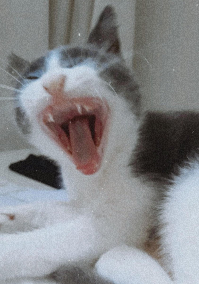 Manita espri yapmıştır: