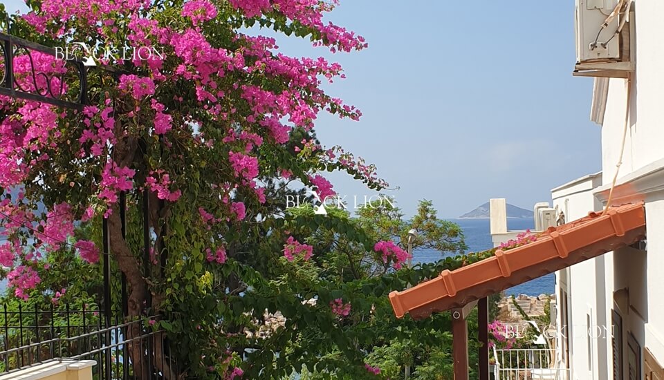 property_kalkan's tweet photo. Small but perfectly located!
Just on the market is this charming corner stone house located right by the harbour in Kalkan's Old Town. Just footsteps from the harbour and stone's throw from the beach. What could be more perfect?
https://t.co/FK3B4QJCqZ https://t.co/0mMGh6zQ02