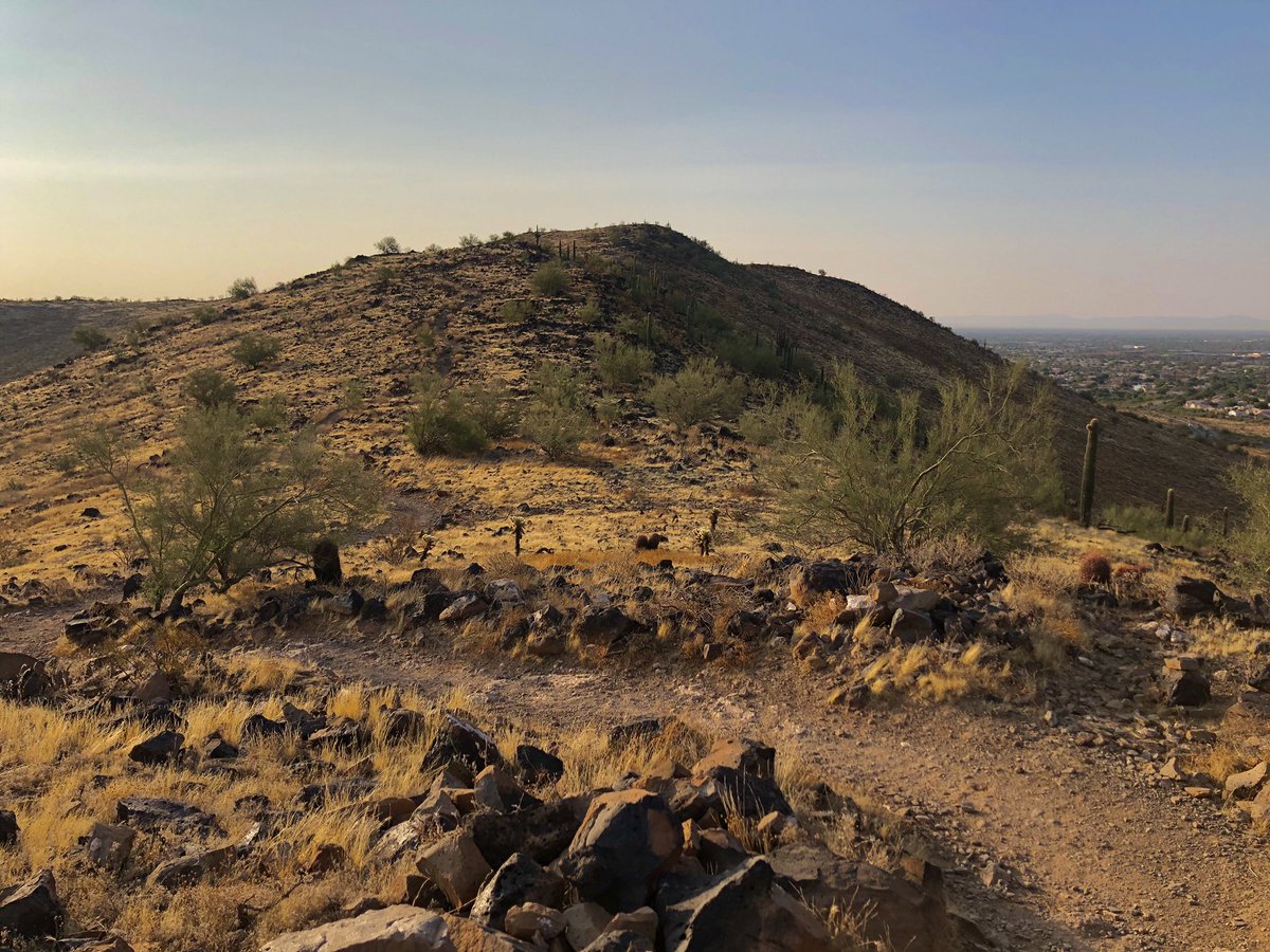 Marce_AZ's tweet photo. 7 trail miles ✅ Five more days until my first LIVE trail race since FEB! 26K 🙌🏼 I can’t wait! #TrailRun #TrailRunner #RunAZ #DamGoodRun #RunSteepGetHigh #AravaipaRunning #DesertRunner #NAFlagvisor #TuesdayThoughts #TuesdayMotivation #TuesdayVibes #RunHappy #TuesdayMorning https://t.co/ZZ8Vo6vswv