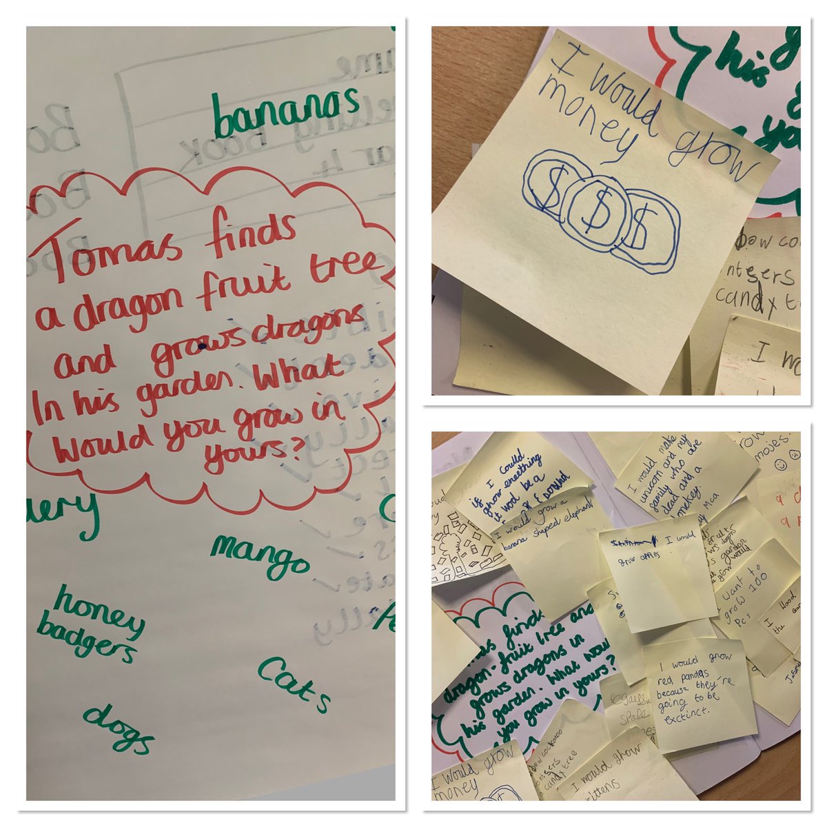 HBJSCH63's tweet image. Mrs Lavery gave 4L the following question: 

🐉Thomas finds a Dragon Fruit Tree and grows dragons in his garden. What would you grow in yours? 🐉 

Here are some of their responses...

What would you grow? 
#HBJSREADING 
#CLASSREAD 
#4L 
#THEBOYWHOGREWDRAGONS