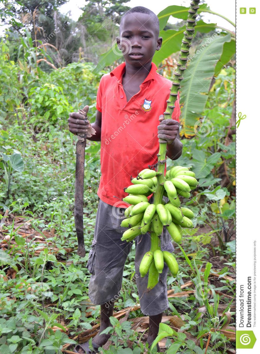 Child Labor Coalition tweet media