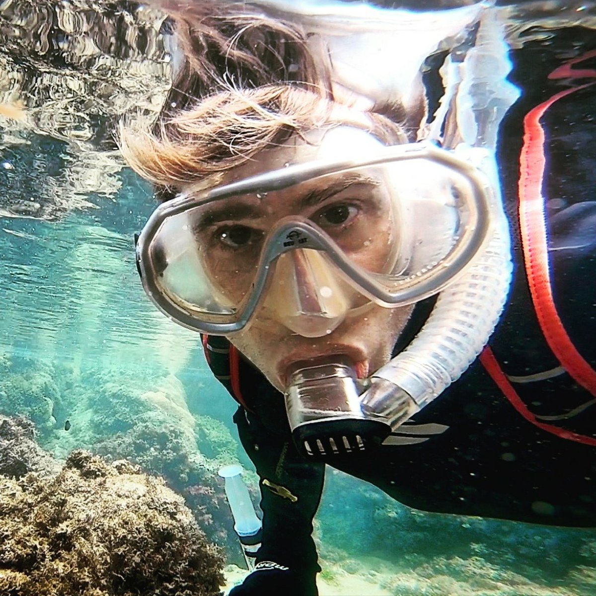 MarineEcoBR's tweet photo. Our postdoctoral fellow @antoineLeduc2 is a behavioral ecologist, having used #fish as models to address a range of questions related to #ecosystemchange. Recently, has devoted his research to #conservation schemes for fishes, considering interactions with small-scale #fisheries. https://t.co/t8cf9qvjes