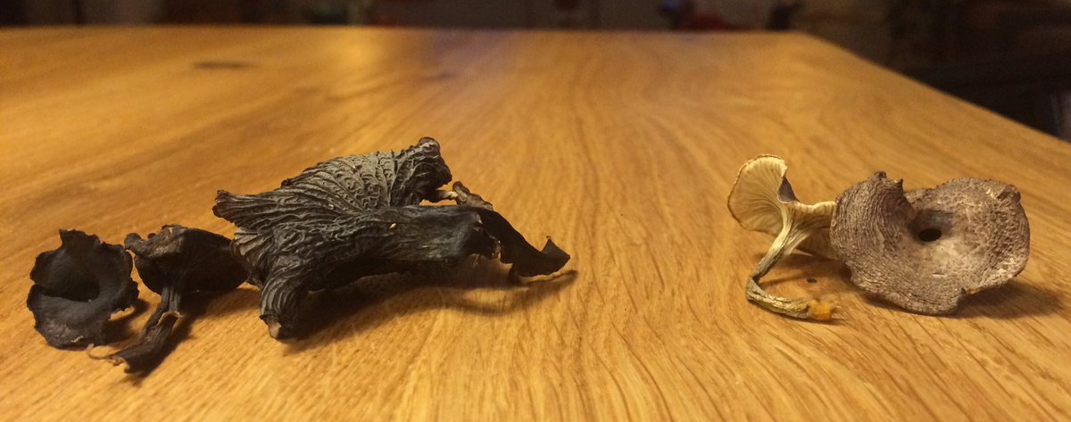 𝙴𝚕𝚒𝚣𝚊 𝙼𝚊𝚑𝚎𝚛 𝙷𝚊𝚜𝚜𝚎𝚕𝚚𝚞𝚒𝚜𝚝 tweet media