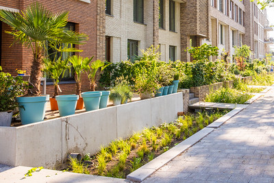 Hello Zuidas tweet media