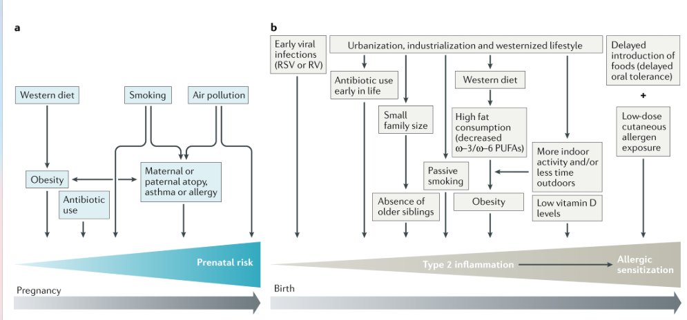 mmw_lmw's tweet photo. Early life #Microbial_Exposures and #Allergy_Risks | Prenatal and postnatal risk factors | Caesarean delivery is an important risk factor | Harald Renz @Uni_MR @NatRevImmunol https://t.co/y1ZwsMXWIz https://t.co/ARnedXt9jX