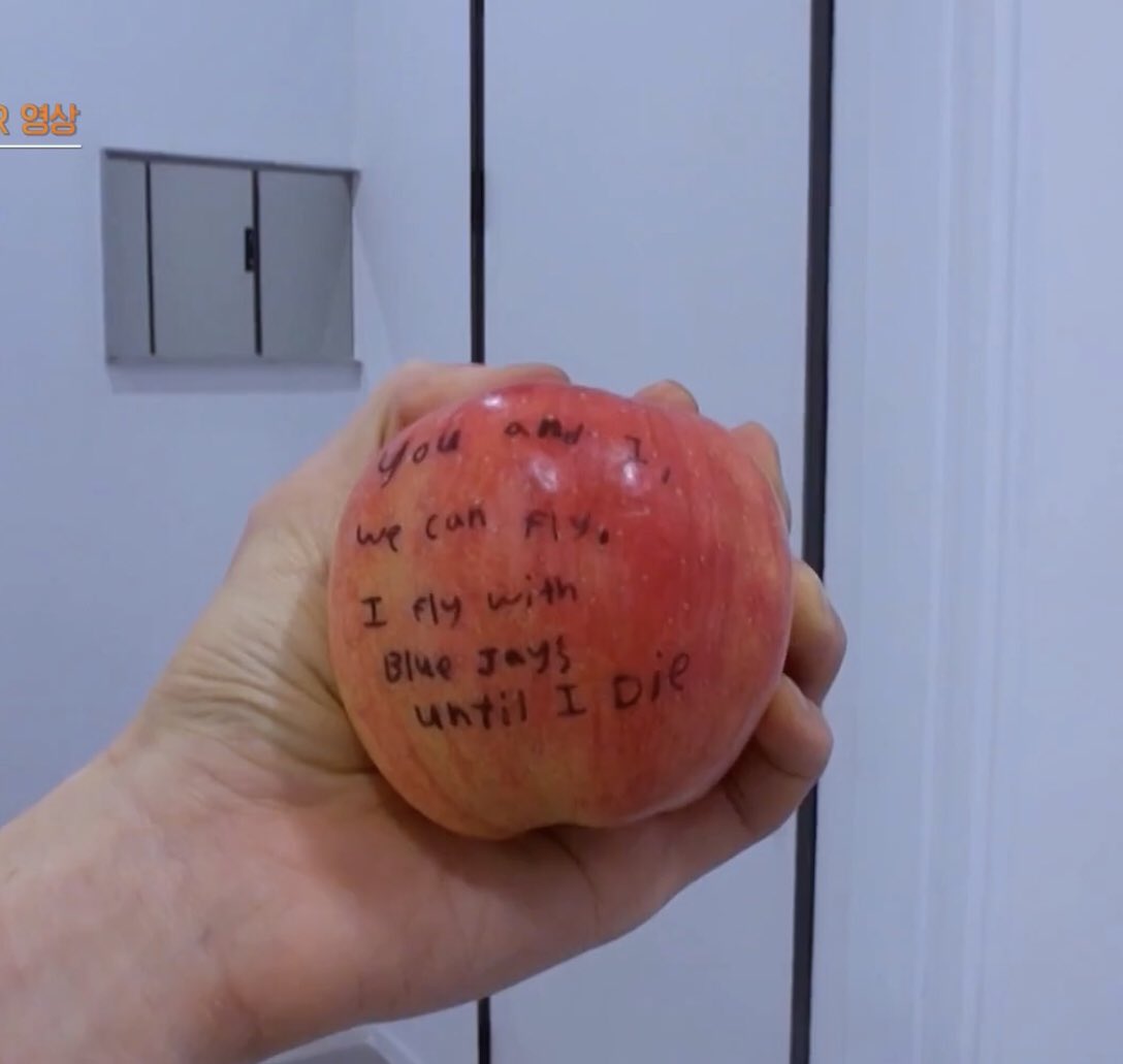 September 15thThis is an iconic day in the history of Blue jay. The day when he show us an apple  with sweet words and i'm sure all of Blue jay cried loudly and were very happy too  #LETSDEBUTJAY  #iFlyWithJay