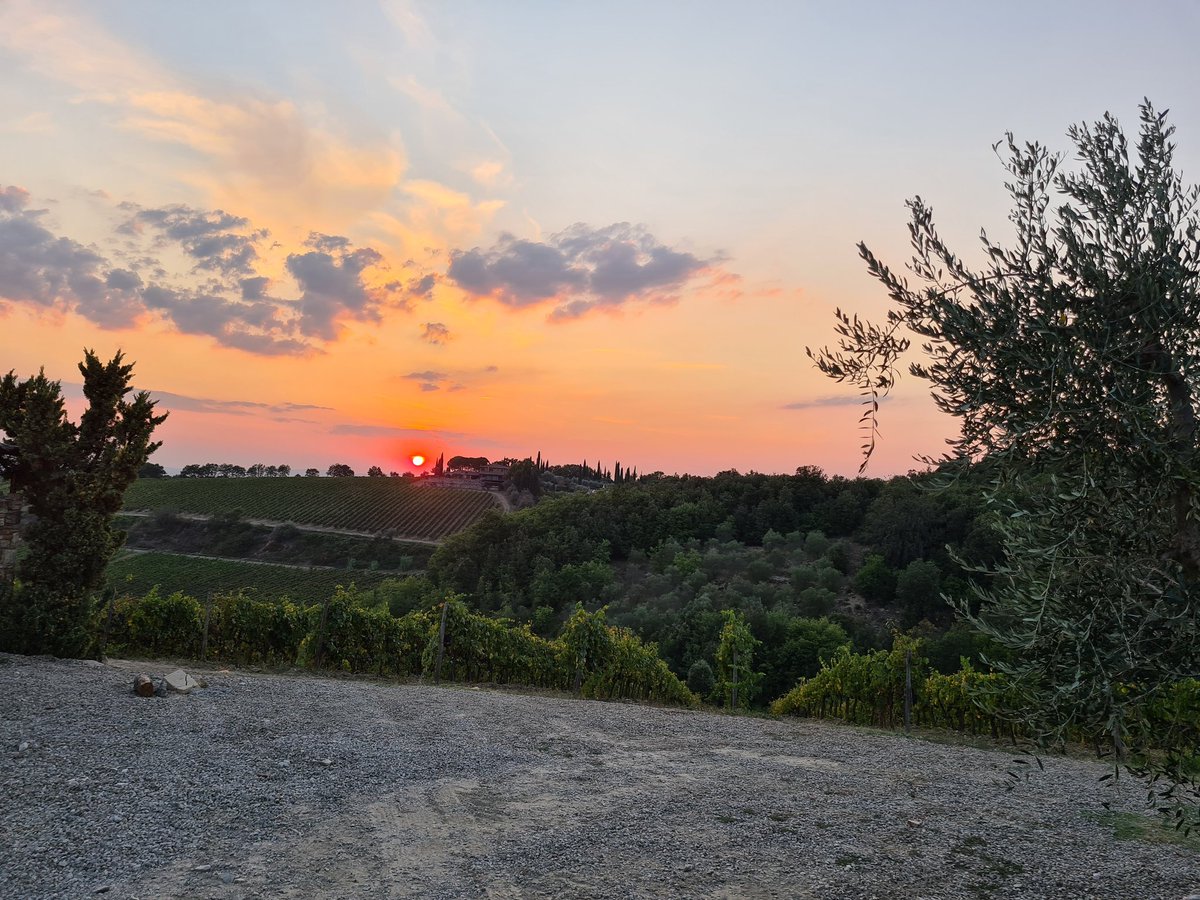 CNR TechAgriculture (@techagriculture) on Twitter photo Lavorare in vigneti del Chianti fino a tarda sera regala questi tramonti
๐con @Reflycnrifc #Digivit <a href="/regionetoscana/">Regione Toscana</a> <a href="/CastellodiAma/">Castello di Ama</a>, #agriservsrl <a href="/MarchesiMazzei/">Marchesi Mazzei</a> #Cennino #CnrIbe Lavorare in vigneti del Chianti fino a tarda sera regala questi tramonti
๐con @Reflycnrifc #Digivit <a href="/regionetoscana/">Regione Toscana</a> <a href="/CastellodiAma/">Castello di Ama</a>, #agriservsrl <a href="/MarchesiMazzei/">Marchesi Mazzei</a> #Cennino #CnrIbe
