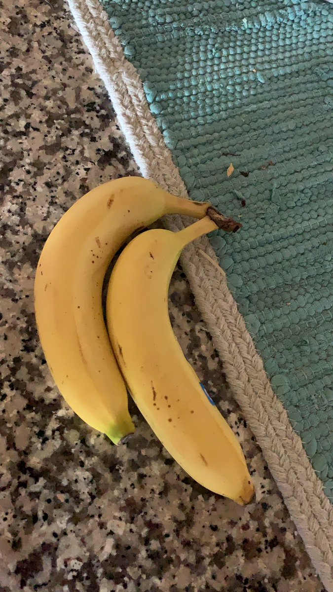 JacobRovelli's tweet photo. Now introducing, the splizzy. https://t.co/KCxIjMnIiZ