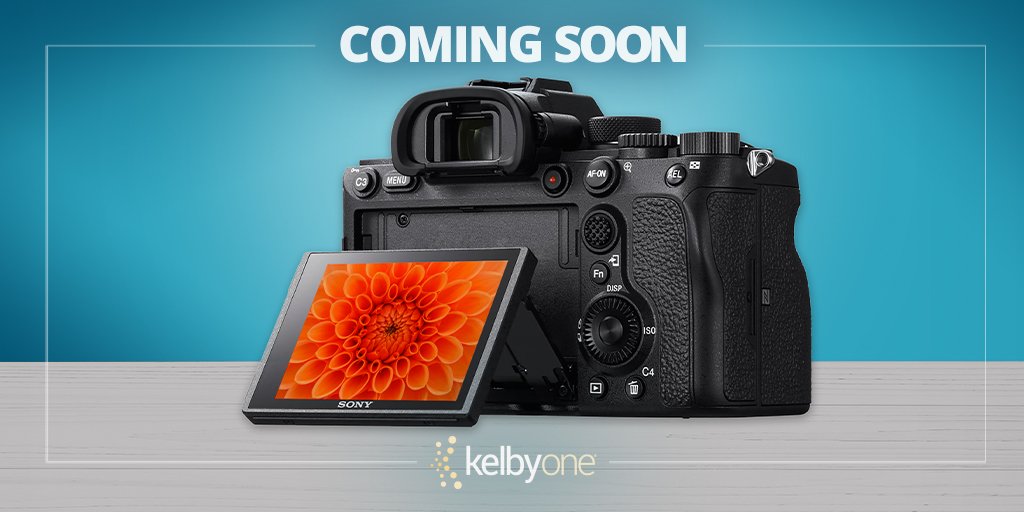 KelbyOne's tweet image. Join @larrybeckerbiz for a comprehensive camera guide featuring the #SonyA7R4! Coming soon to KelbyOne. #camera #cameratutorial