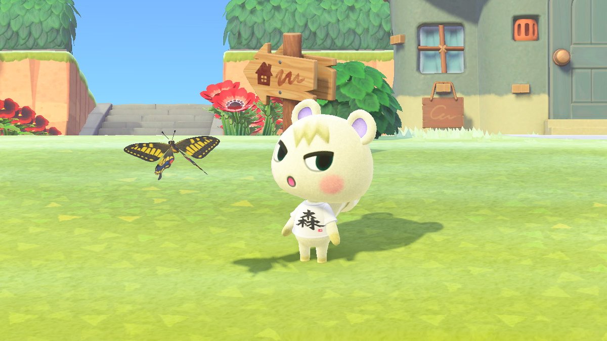 TsukkiAC's tweet photo. LOOK AT HIM #AnimalCrossing #ACNH #NintendoSwitch https://t.co/gQ7b636ZBz