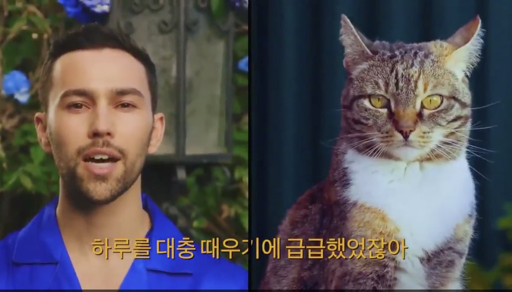 minpdhoe's tweet photo. Confirmed! Yoongi as lil meow 😂

#SUGA 
#BlueberryEyesMVOutNow 
#AReMY https://t.co/zKYOussxPd
