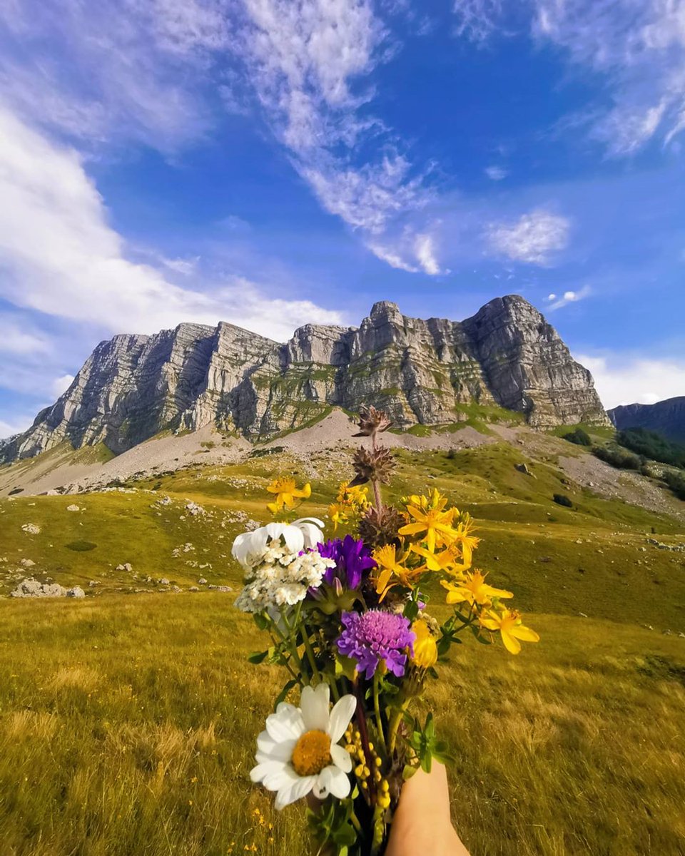 tarapluzinefoca's tweet photo. "Ide mi se negde u planine, da mi bude sve do neba ravno" Irena Maroš
🔸
#Photo: thepeakyhikers
🔸
#Volujak
#NationalParkSutjeska
#NatureParkPiva
#MountainsLovers
#HikingLovers
#BeautyColorsOfVolujak
#VisitForMore
@VisitSrpska https://t.co/DTQlkml6fw