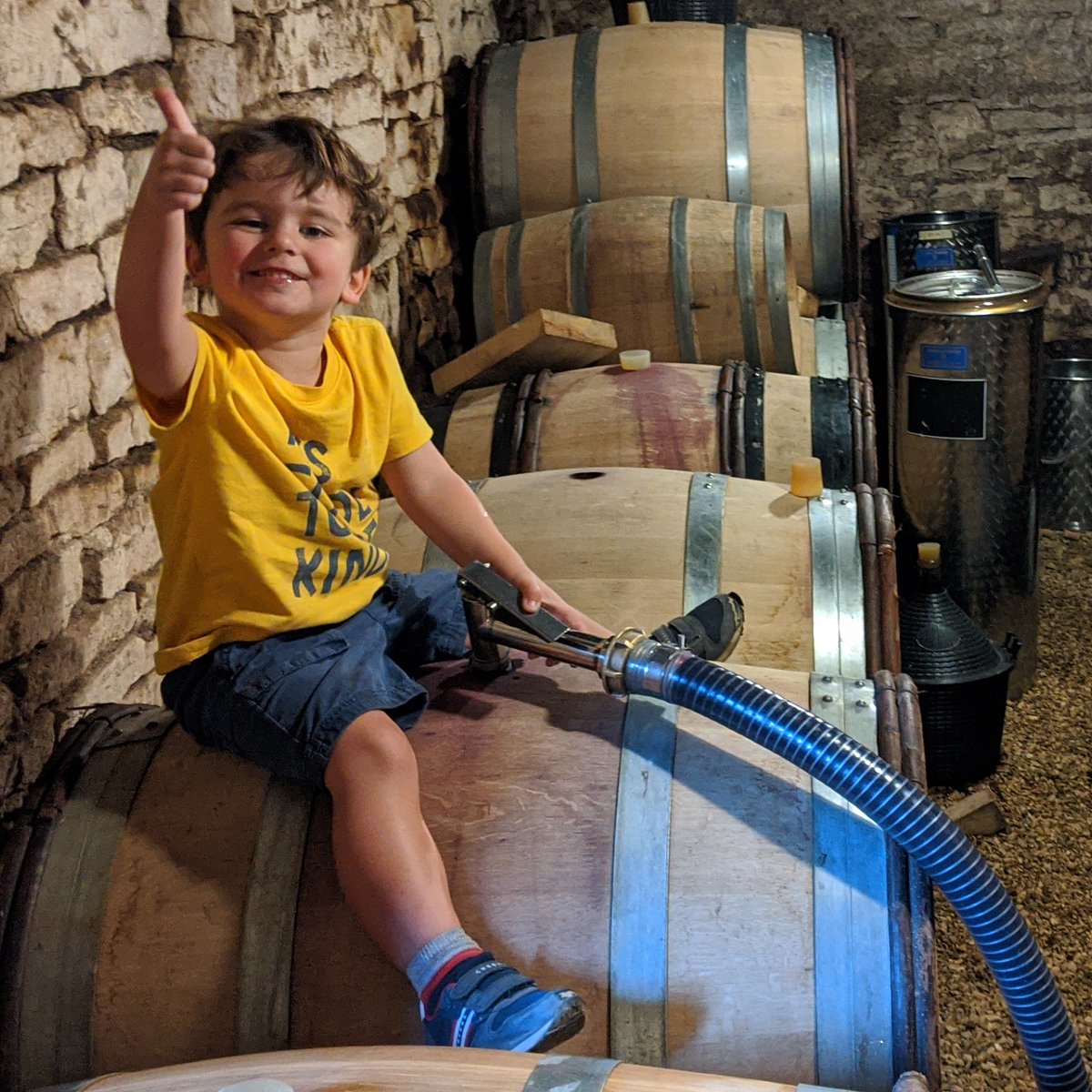 MaisonHarbour's tweet photo. Barreling down the 2020 pinots... Jack approves! #MaisonHarbour https://t.co/PNv9g8a9gt