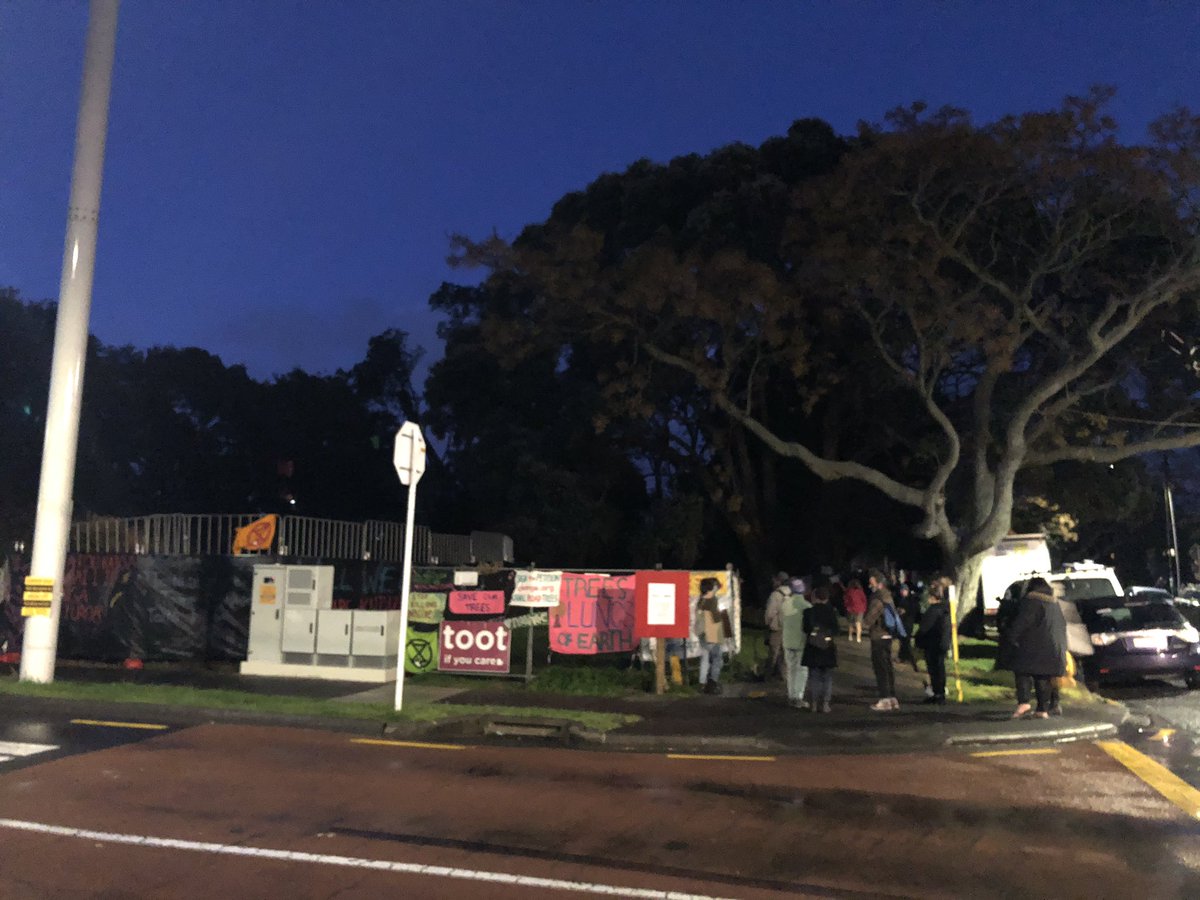 GreenpeaceNZ's tweet photo. With masks, social distancing and small group briefings on kaupapa and principles of peaceful civil disobedience, the community is preparing for an expected showdown with those who would fell the stand of giant trees here today. #treesforlife https://t.co/uC27xkmY42