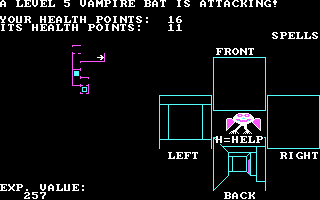 and the first of the Moraff dungeon crawlers, Moraff's Revenge (1988) is CGA native: