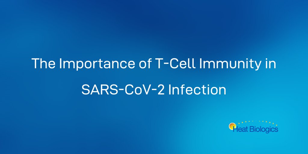 We’re one of only a few companies developing a #COVID19 vaccine to activate both killer &amp; helper T cells. Most others focus on antibodies, which probably won't be enough in the fight against COVID. Find out why T cells may be essential to COVID protection: bit.ly/3aAqHoI