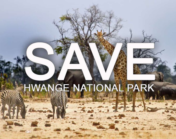 ZELO_Infor's tweet photo. Court case update in the matter between @HwangeResidents @ZELA_Infor, #Chinese miners TONGMAO COAL COMPANY etc
1/2 The court ruled that the President @edmnangagwa @Zimparks should have been cited because their decision is at stake in this matter.
#SaveHwangeNationalPark https://t.co/mW079Jttq0